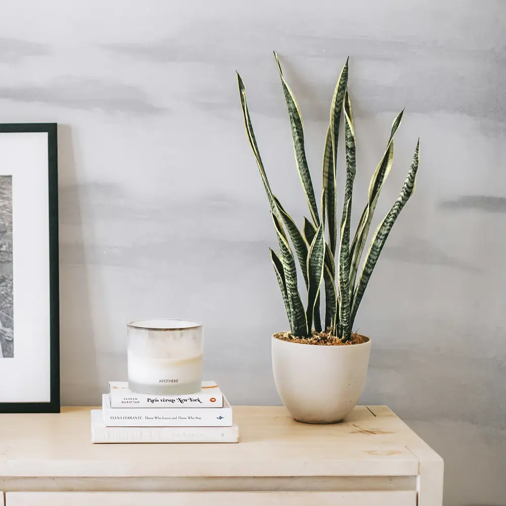 MAITRE DECO Le Beton Loft - Декоративная штукатурка с эффектом бетона 2.5 кг 89130144 STLM-0078827 - Вид №7