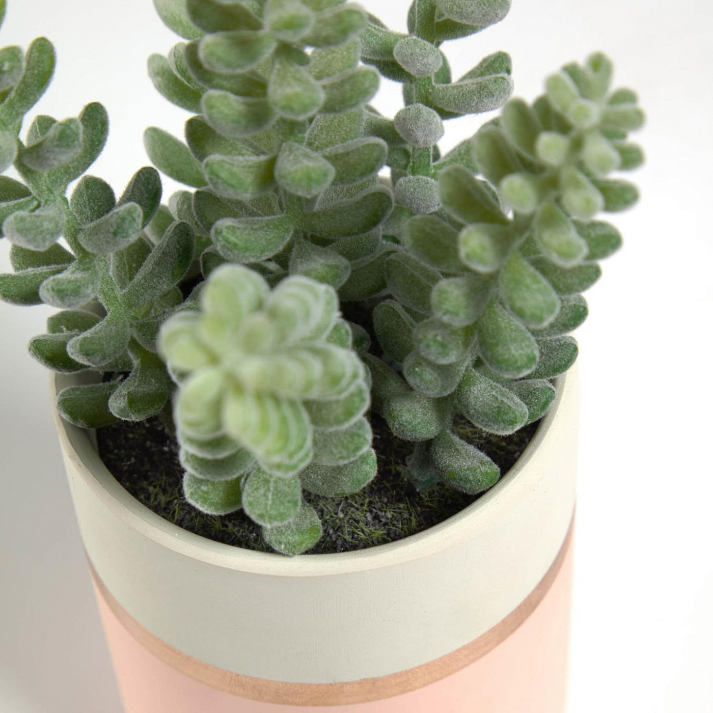 089921 Flower Искусственное растение lucidum в розовом керамическом горшке La Forma Sedum