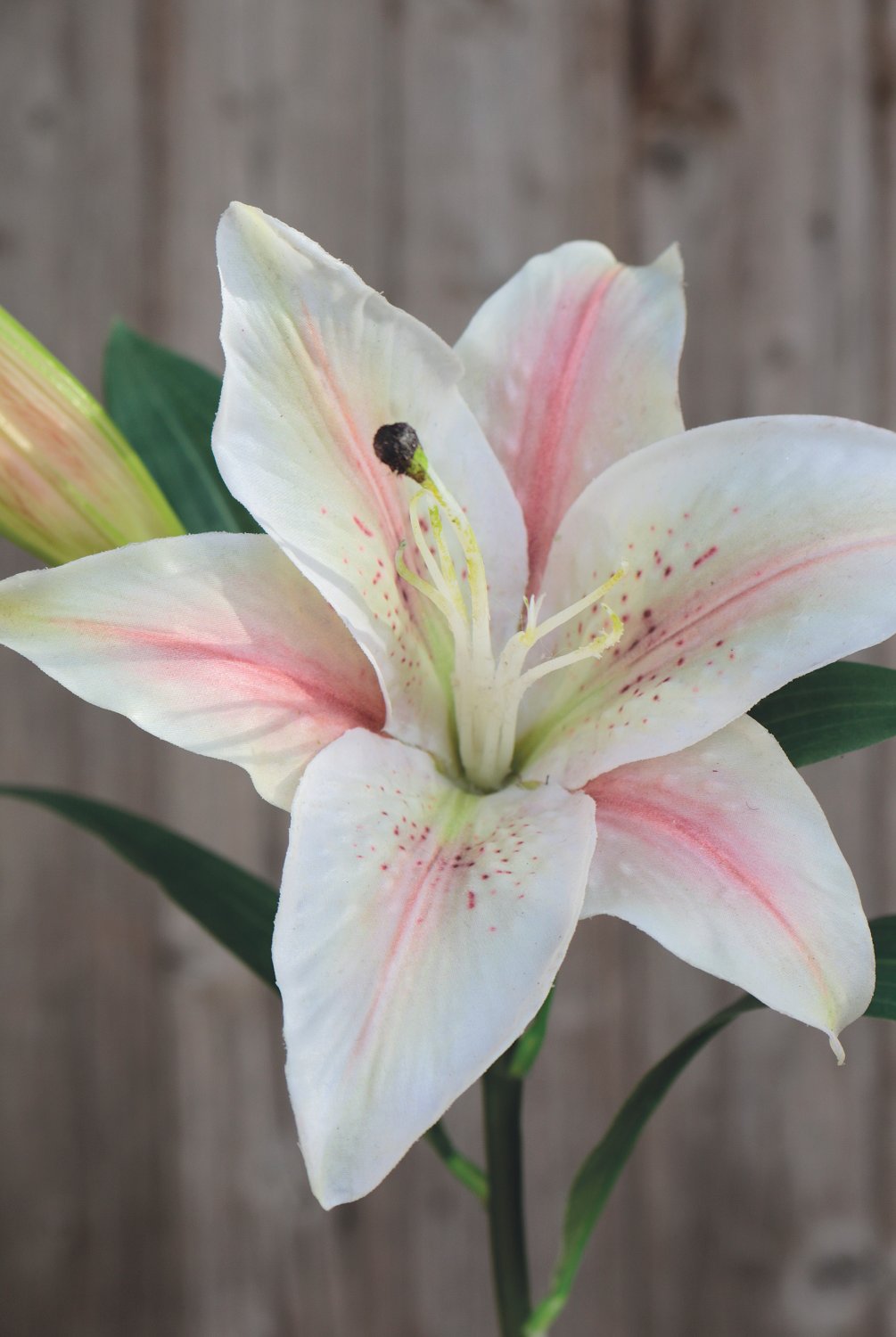 3211 755 a3 Искусственная лилия, 45 см, бежево-розовая H-andreas  - Вид №2