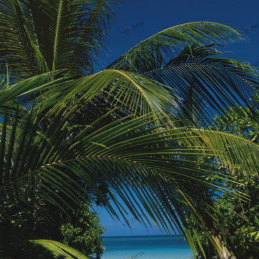 2-1061-To-the-Beach Фотообои Komar Doors 2.2х0.97 м 21061TOTHEBEACH