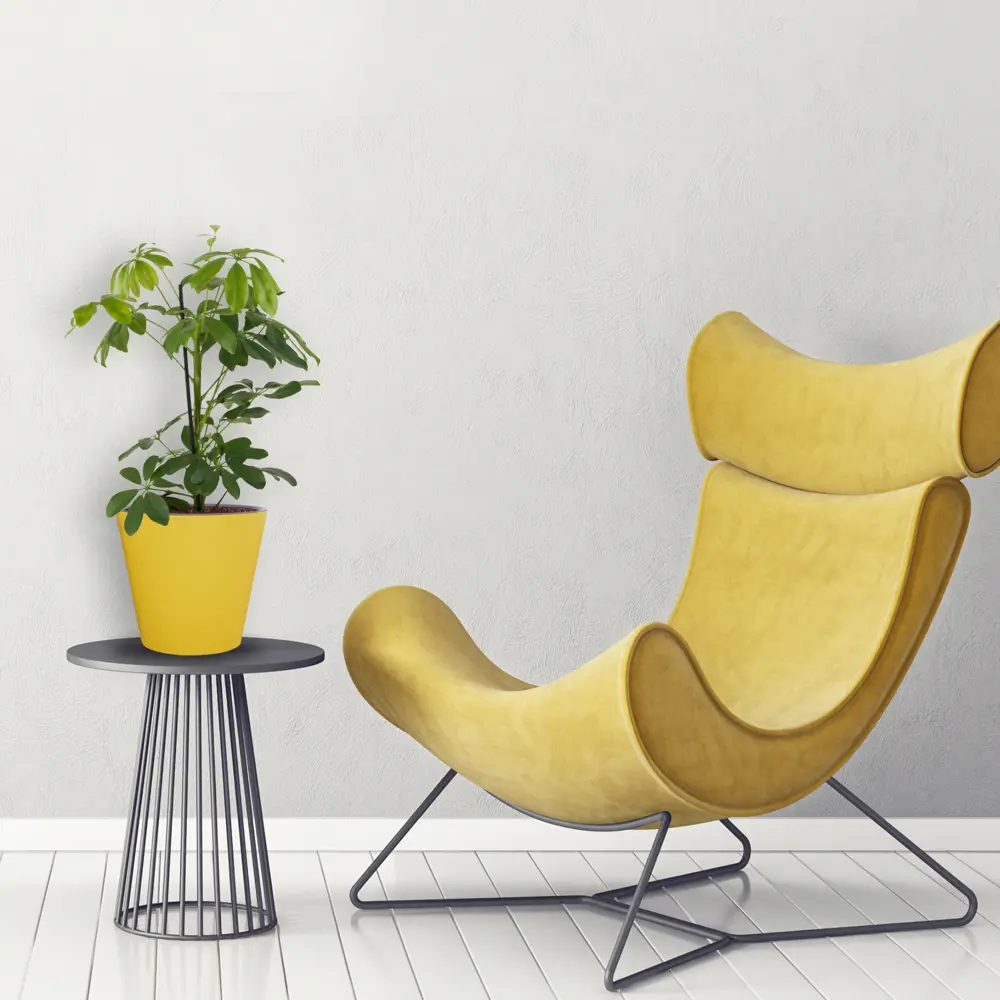 Santreyd Шеффлера Нора - вечнозеленая лиана для интерьера 82399606 STLM-0026481 - Вид №2