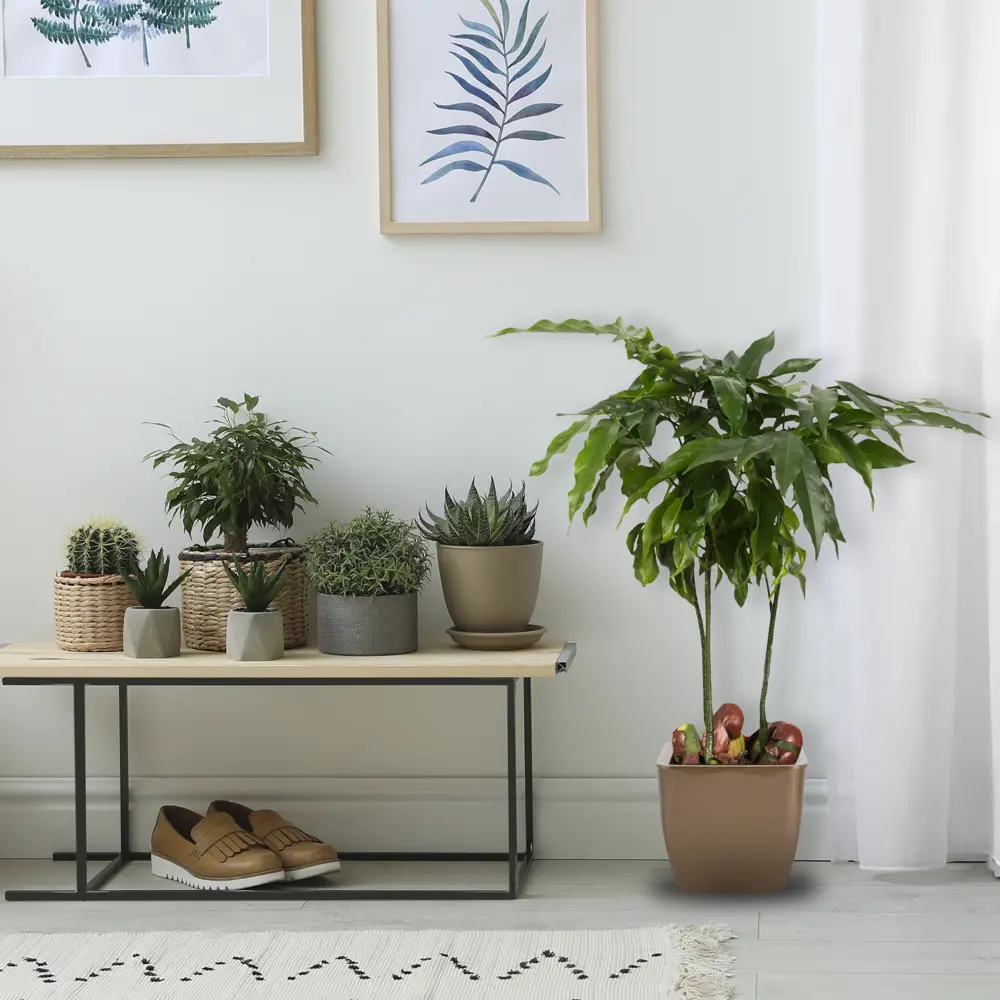 Горшок цветочный Square Couleurs ø27 см, 7.3 л, пластик, цвет коричневый ТЕК.А.ТЕК Колорс STLM-2005559 - Вид №3