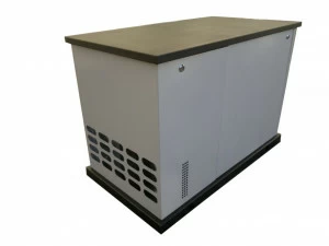 Бензиновый генератор REG GG12-230 S в кожухе