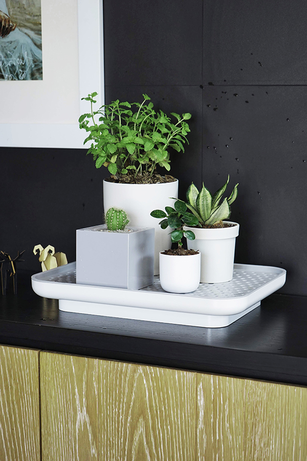 Лоток для полива растений Oasis Tray белый Qualy QL10309WHGN - Вид №3