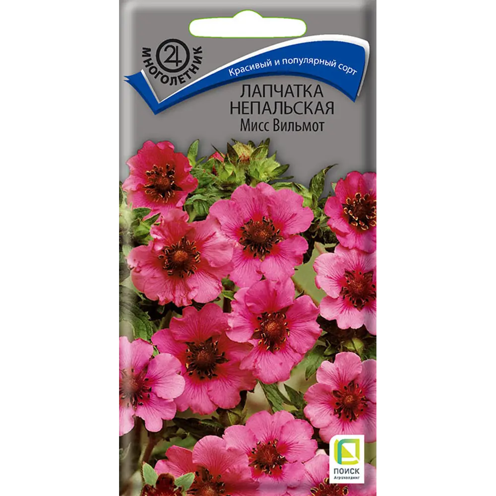 Лапчатка непальская Мисс Вильмот от ПОИСК - изысканный розовый многолетник 89401228 STLM-1576680