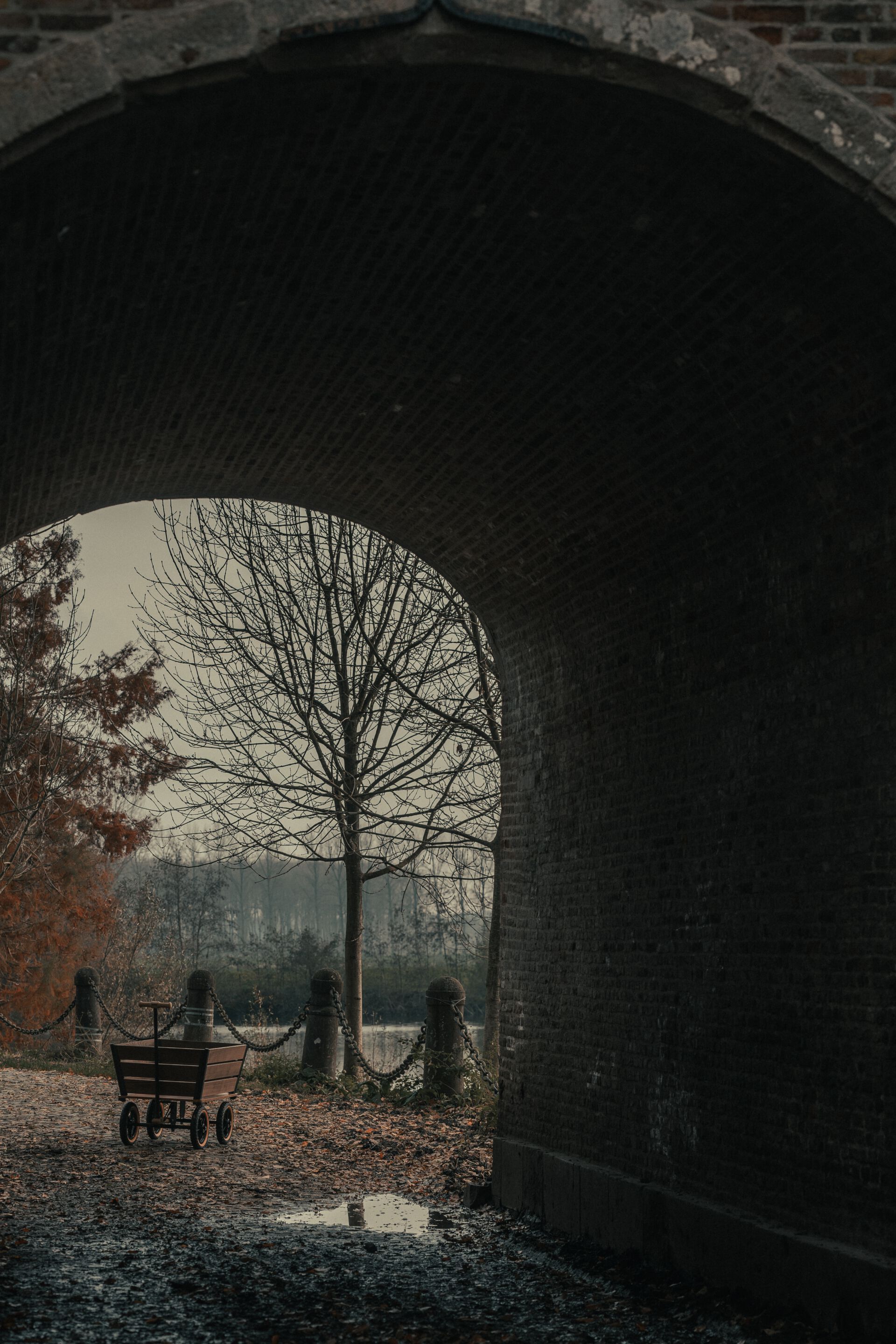 Садовая тележка TRADEWINDS THE PLANK WAGON ARCH-00043245 - Вид №18