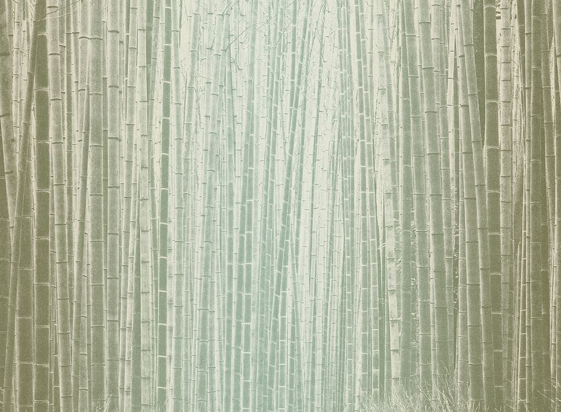 Обои с рисунком Jannelli&Volpi СП 201 MURALS DECOR ARCH-00075370 - Вид №4