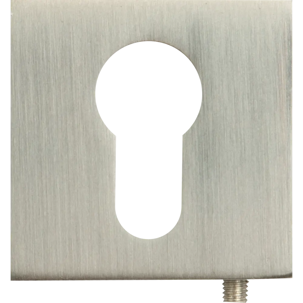 Накладка на цилиндр Puerto INET AL 03SN алюминий цвет матовый никель 2 шт STLM-2121649