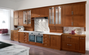Кухня  ASTER CUCINE AVENUE-5