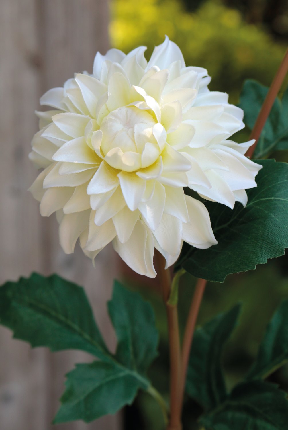 2451 778 a3 Пластиковый георгин, 56 см, бежево-белый H-andreas  - Вид №2