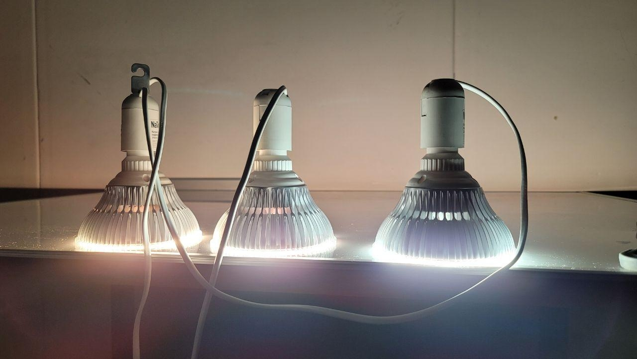 1026 Фитолампа светодиодная Е27 12W LAB.Space  - Вид №8