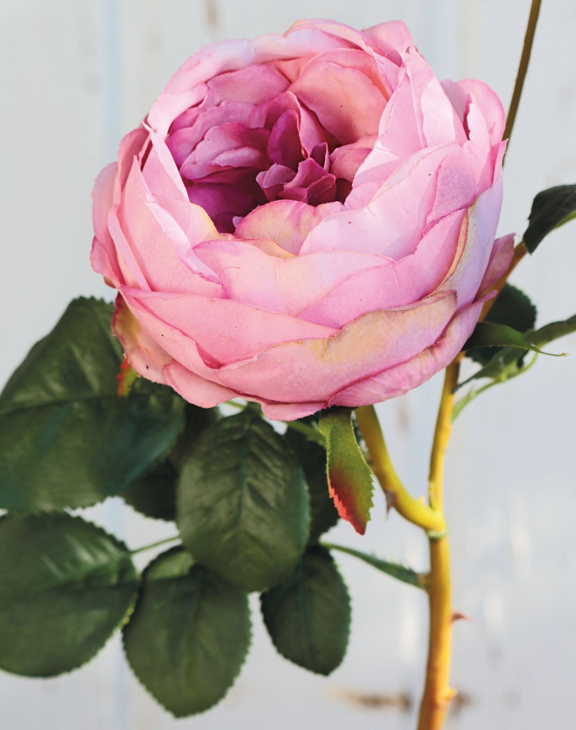 2592 597 a3 Искусственная роза, 1 цветок, 2 бутона, 60 см, real touch soft, антично-роза H-andreas 