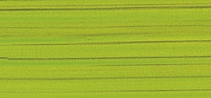 3112111 Фольга "восковая", Акварельные полосы, 20x10 см, упаковка 1 шт, цвет светлый зеленый Rayher