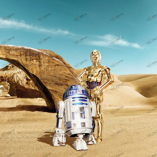8-484-STAR-WARS-Lost-Droids Фотообои Komar Disney 2.54х3.68 м 8484STARWARSLOSTDROIDS