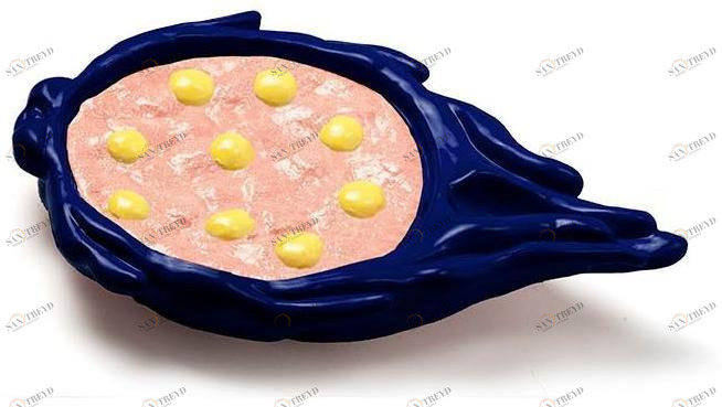 Mambo Unlimited Ideas Керамический орнамент в современном стиле Salvè terra sun-id-1410390