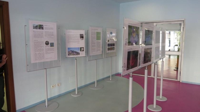 GEPROM design Двусторонний столбчатый дисплей sun-id-1445993 - Вид №8