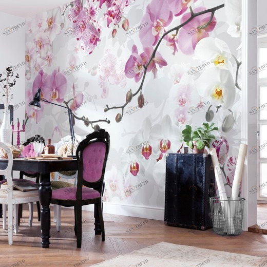 XXL4-032-Allure Фотообои Komar Imagine Edition 2 2.48х3.68 м XXL4032ALLURE