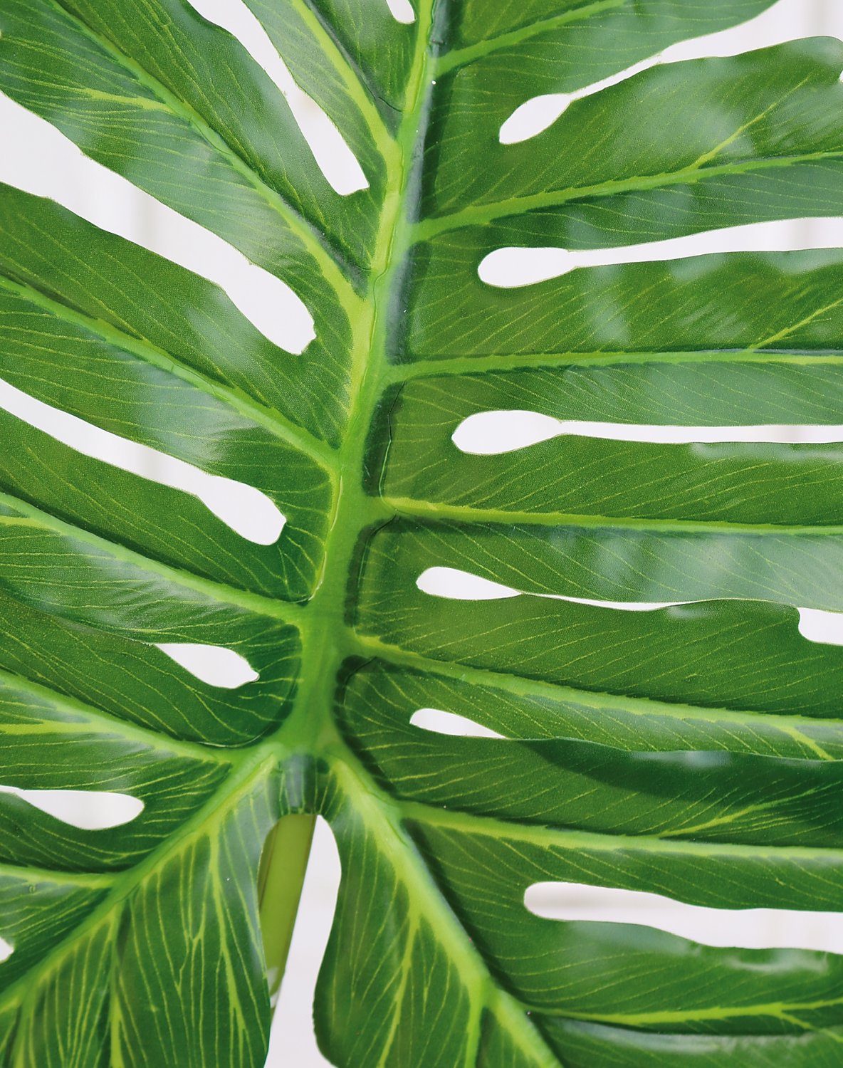 5281 883 a3 Искусственный колотый лист Вайя филодендрона, 91 см, зеленый H-andreas 