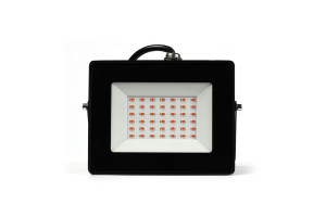 16484203 Прожектор FL 30W/1300K/IP65 SBL-FLFITO-30-65K Smartbuy ФИТО