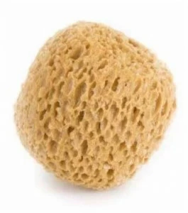 GAMMA PENNELLI Губки для декоративных эффектов Caprice