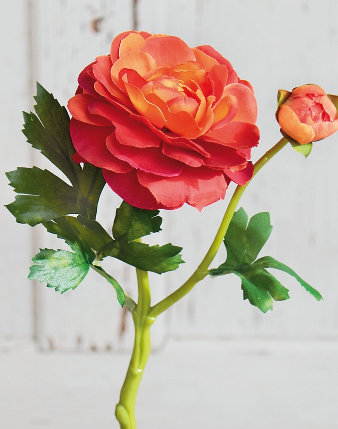 2450 334 a3 Лютик шелковый, 1 цветок, 1 бутон, 32 см, оранжевый H-andreas  - Вид №2