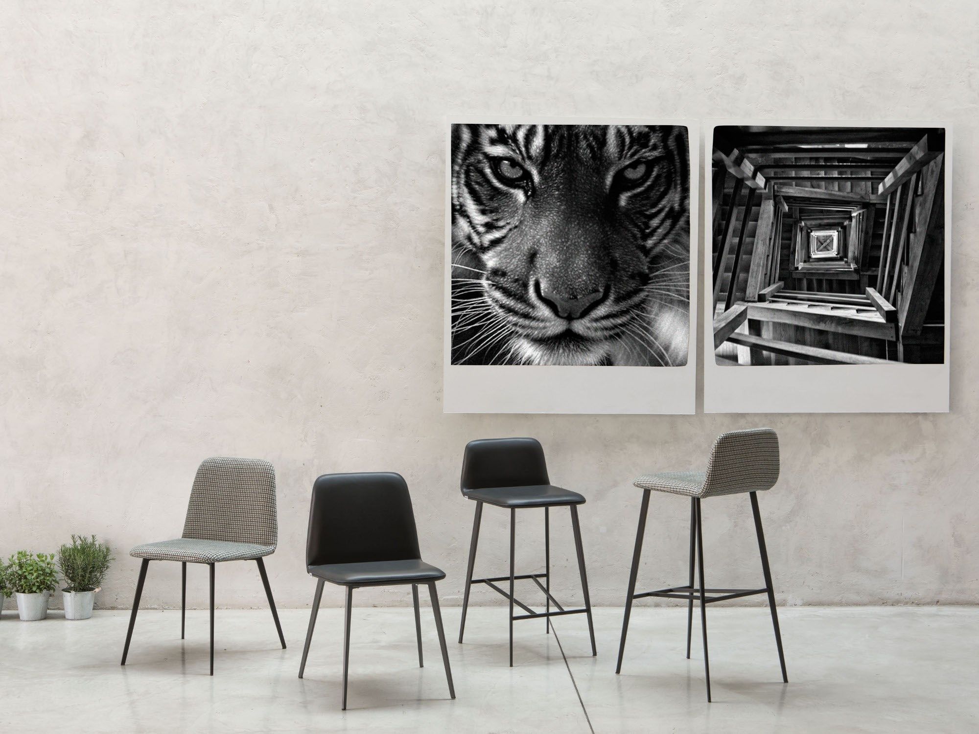 Кожаный стул TrabA' Bardot ARCH-00037994 - Вид №9