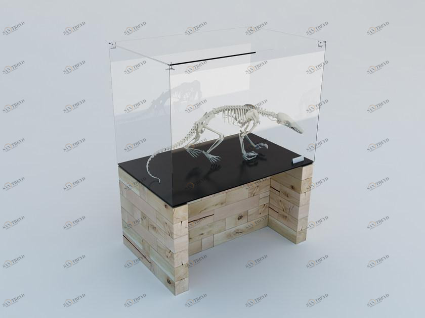 CRAFTWAND Напольная витрина из бука Craftwand® sun-id-1452036