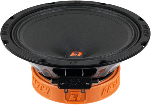 9285896 Среднечастотная акустическая система DL Audio RAVEN 200 V.2
