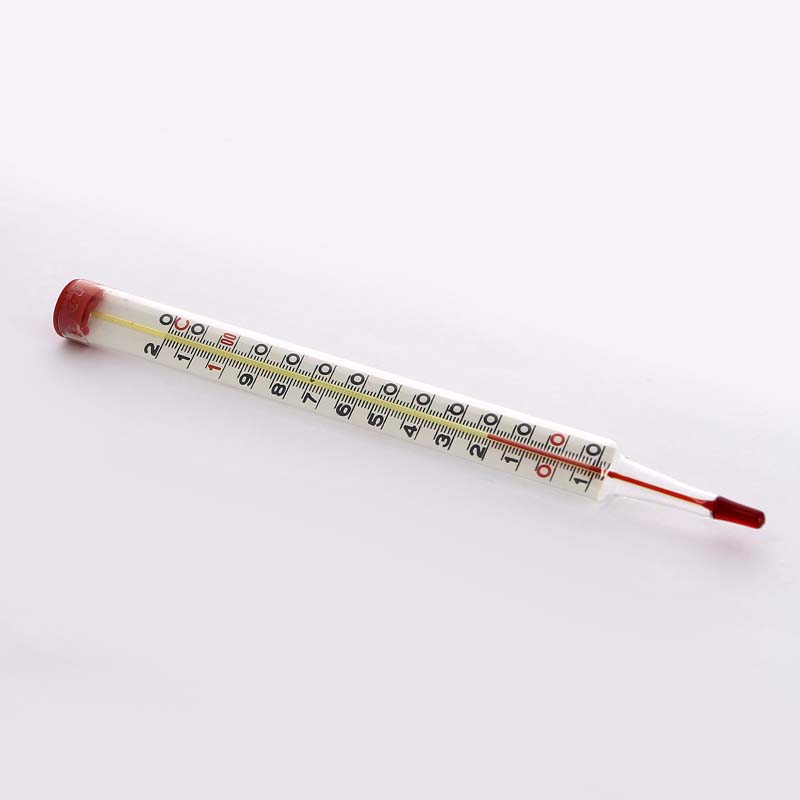 Термометр спиртовой F+R804 стеклянный WATTS Ind 120 град.C длина 195 мм 10006405 - Вид №1