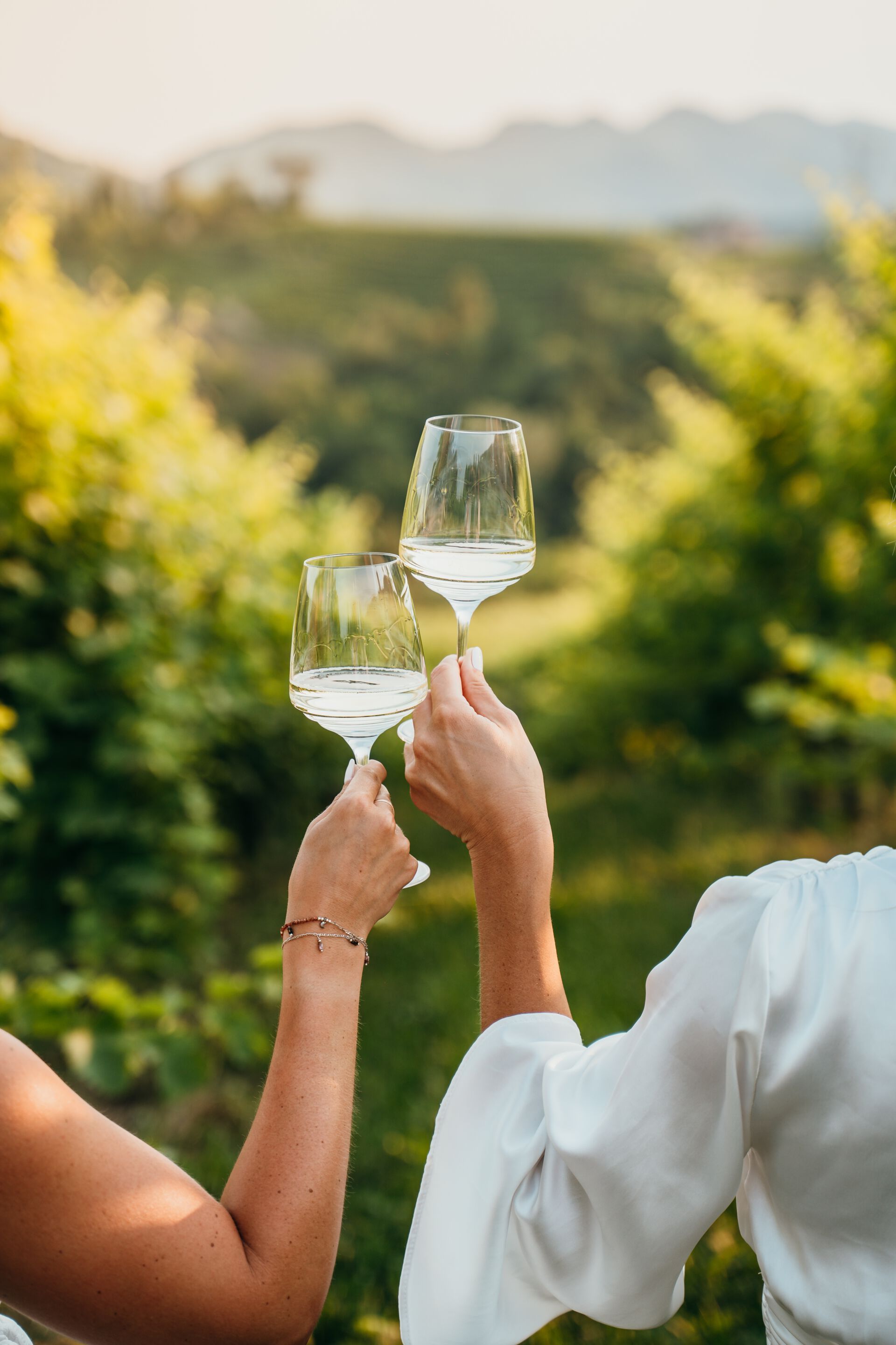 Бокал для вина Zafferano опыт ARCH-00089395 - Вид №8