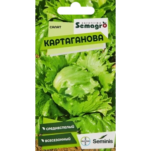 Семена салата Картаганова от Santreyd — сочные листья для свежих блюд 89347267