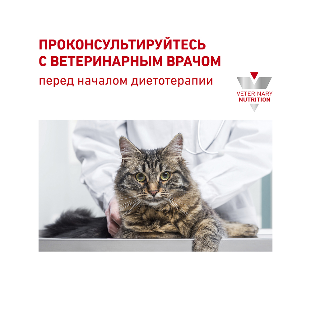ПР0056147 Корм для кошек Vet Diet Early Renal при ранней стадии почечной недостаточности соус пауч 85г ROYAL CANIN  - Вид №8