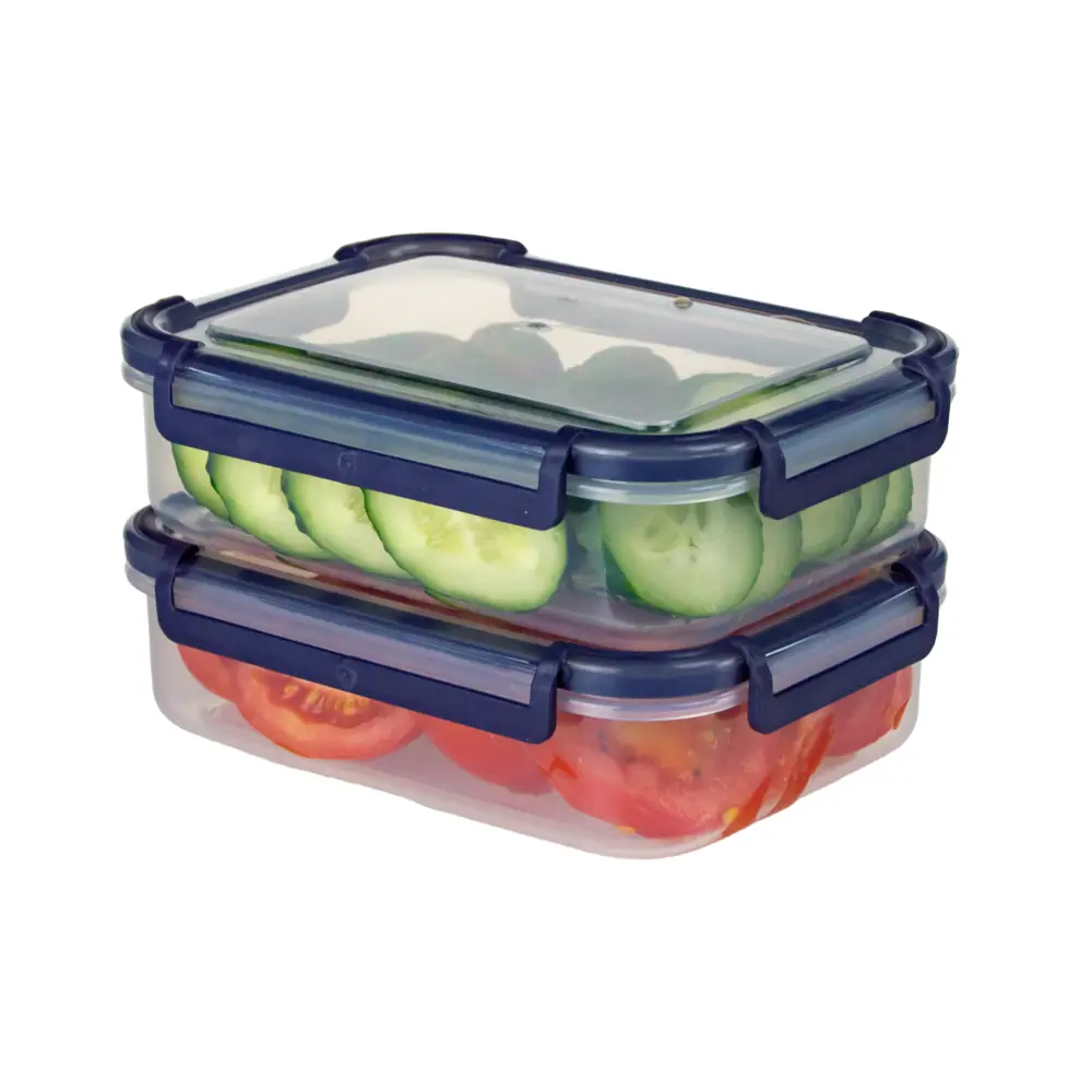 Santreyd: Набор герметичных контейнеров для хранения продуктов 2 шт 84841764 STLM-0055940 - Вид №4