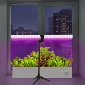 Фитосветильник линейный светодиодный Ritter 10 Вт 572 мм на штативе с держателем 56302 0  красно-синий спектр розовый свет