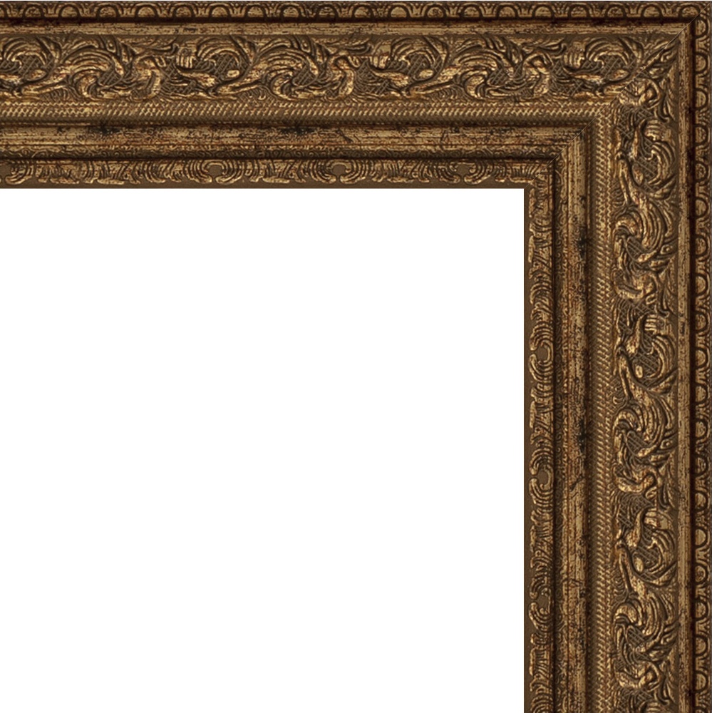 BY 3073 Зеркало в багетной раме - виньетка состаренная бронза 56 mm EVOFORM Definite - Вид №5
