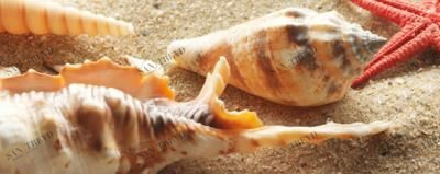 Сиерра Панно Тип 2 20х50 Керамин sun-id-331691