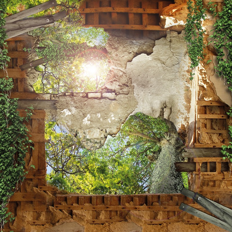 WP10015A Обои декоративные Adriani e Rossi 