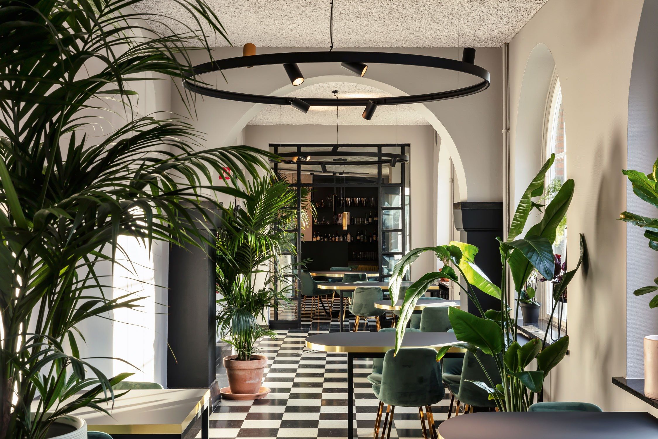 Светодиодный подвесной светильник Deltalight Superloop ARCH-00115363 - Вид №3