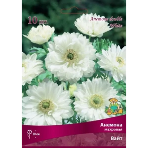 Анемона махровая White от Santreyd - белоснежные цветы для сада 83593861