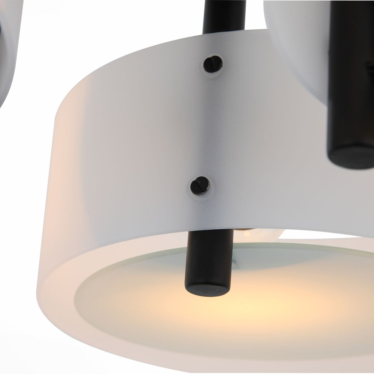 Потолочная люстра ST Luce Foresta SL483.402.03 ST LUCE FORESTA BLACK 109083 Белый  - Вид №1