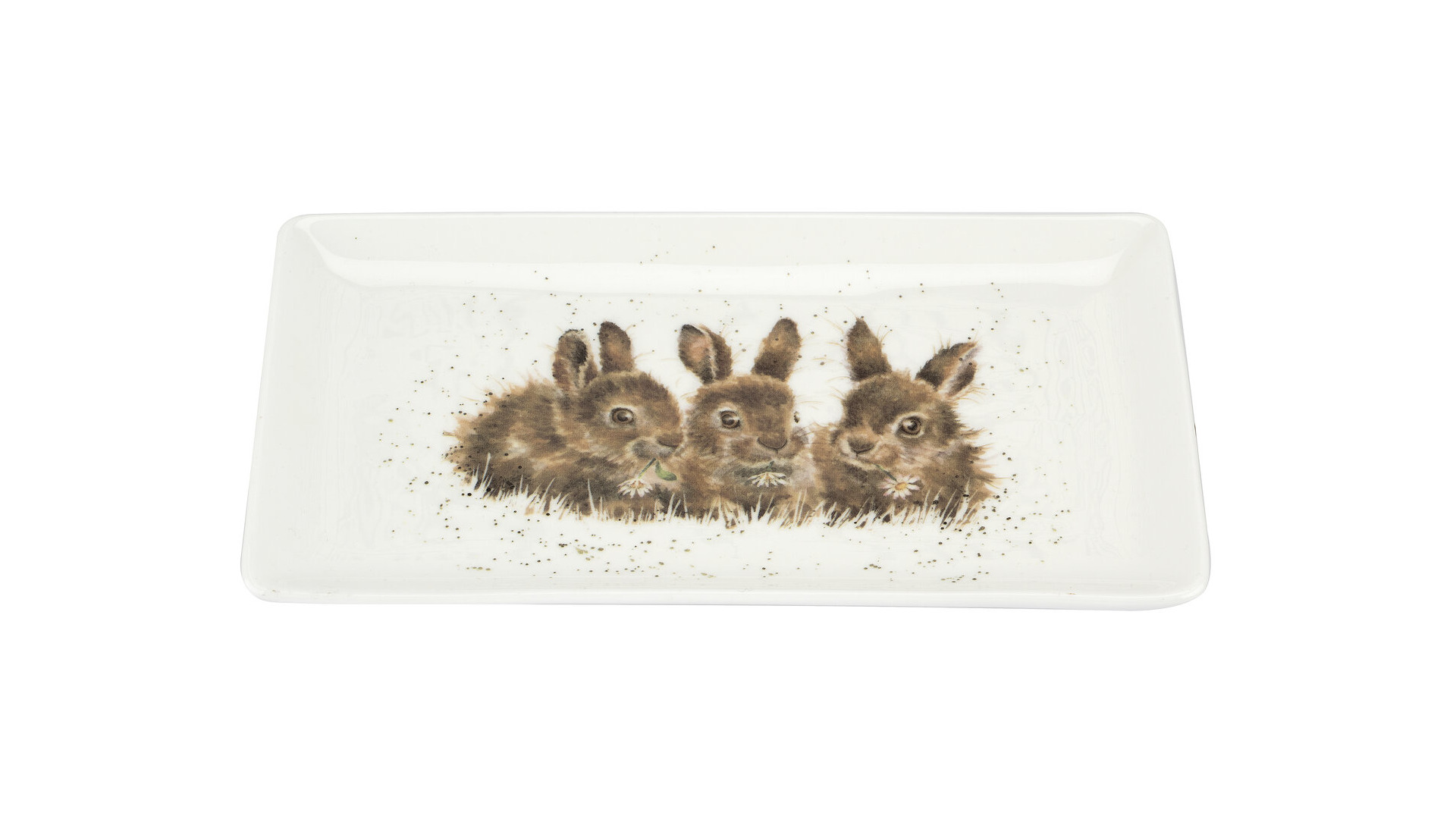 10669766 Royal Worcester Блюдо сервировочное прямоугольное Royal Worcester "Забавная фауна.Крольчата" 20х8см Фарфор  - Вид №1