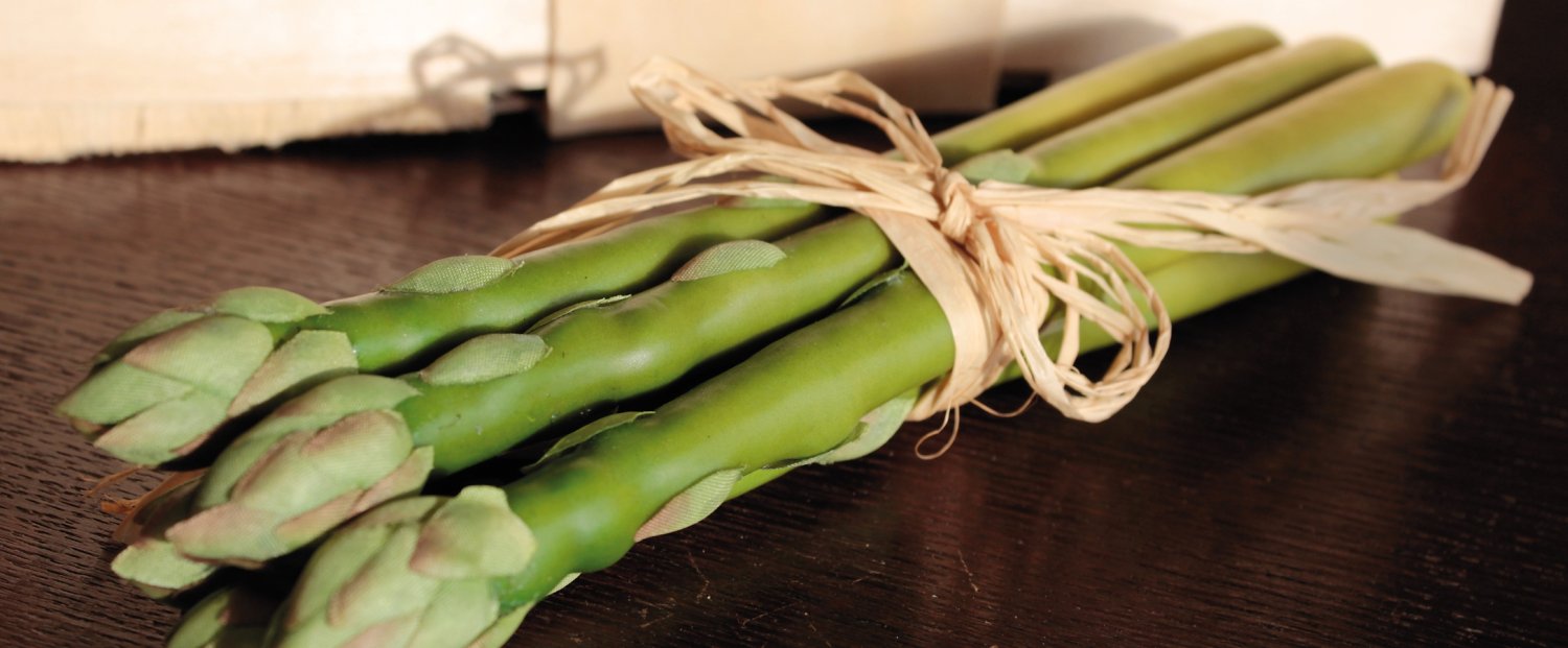 7050 883 a3 Спаржа искусственная, пучок 5 штук, 23 см, зеленая H-andreas 