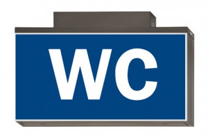 DST-4332 Lisu ceiling-mounted Daisalux Светильники и спец. Металлический Серый