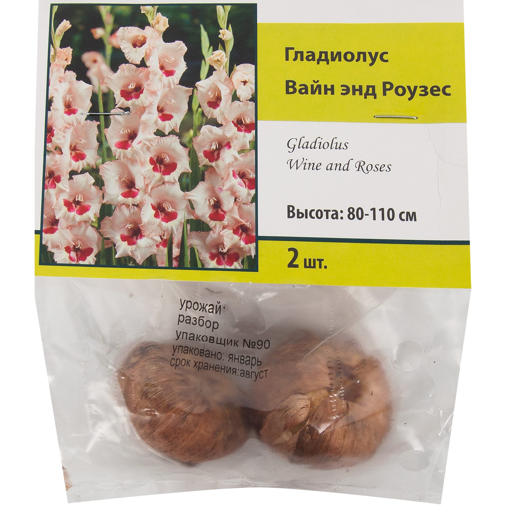 83596499 Гладиолус крупноцветковый Вайн Энд луковица 10/12 Santreyd  - Вид №2