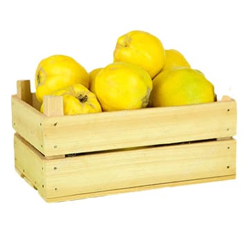 Айва в ящике ~4 кг Santreyd 41188