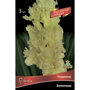 Гладиолус Золотник, 3 шт. 89351815 STLM-2118715