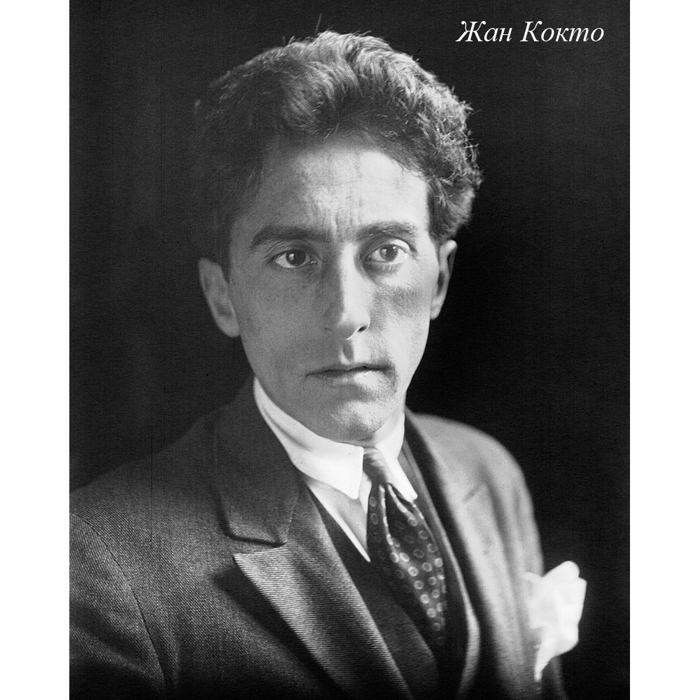 4314207 Арт-подушка «Дягилев» Object Desire  - Вид №4