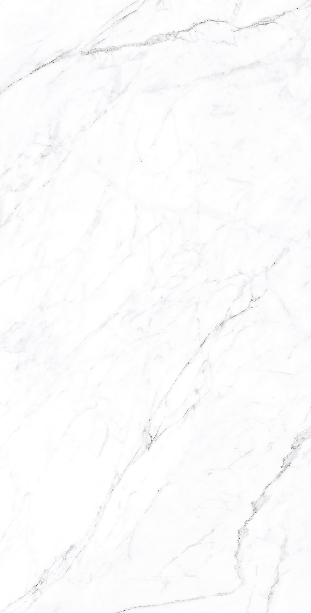 Керамогранит CORALINA WHITE 60х120 Creanza CP4003-A  - Вид №5