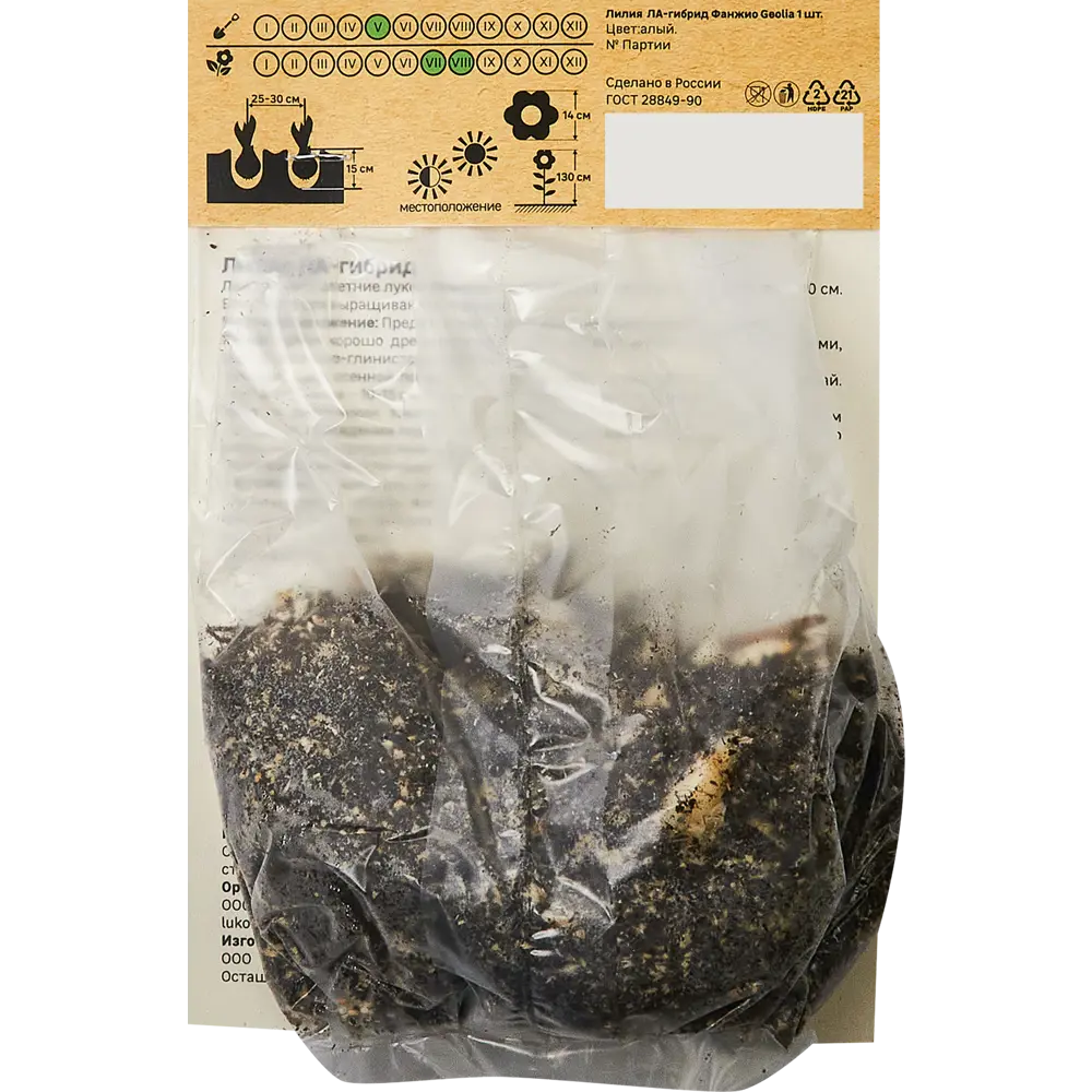 Лилия Geolia ла-гибрид Фанжио STLM-2181143 - Вид №1