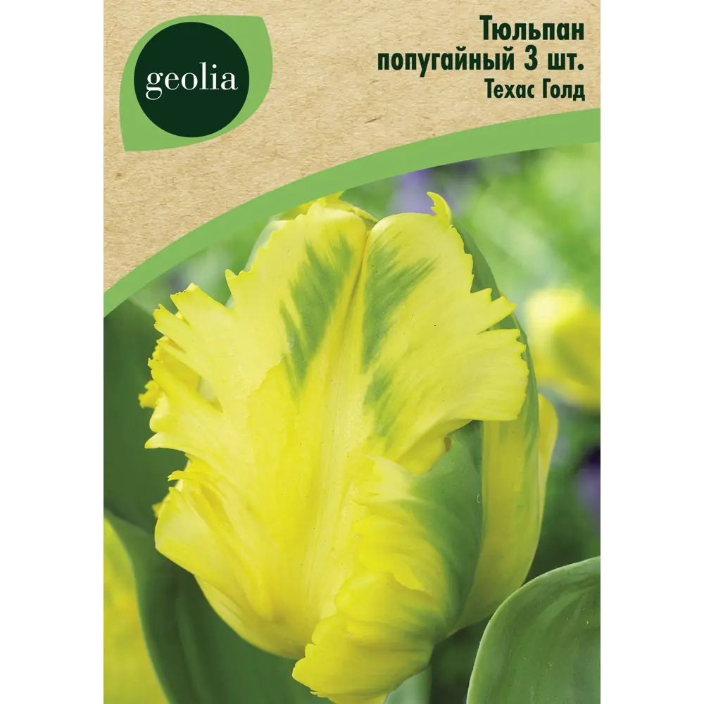 Тюльпан попугайный Техас Голд 3 шт. 88663170 STLM-2153105 GEOLIA 